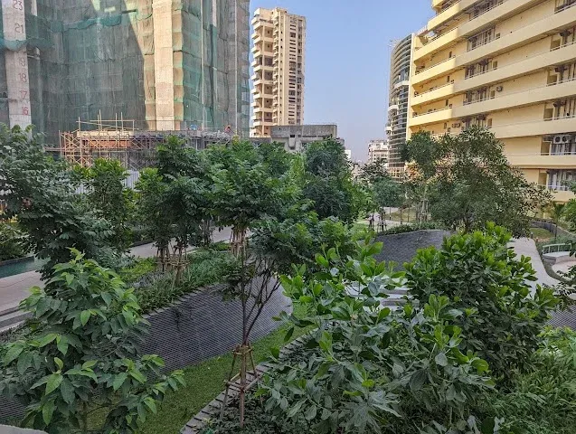 2 BHK Flat for Rent in RUSTUM JEE