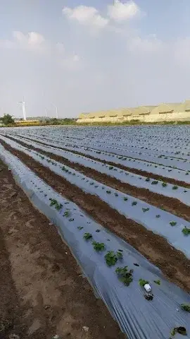 3 BHK Flat for Rent Opposite Oberoi Mall