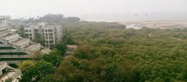 3 BHK Flat for Rent in JUHU Versova Rd