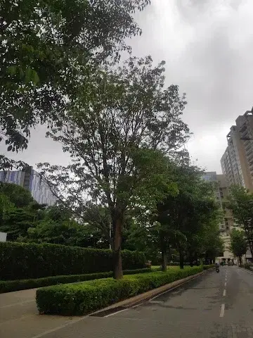 1 BHK Flat for Rent in Bhartiya City