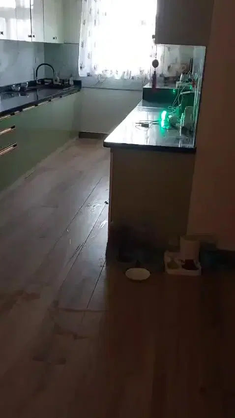 2 BHK Flat for Rent in Goldspire