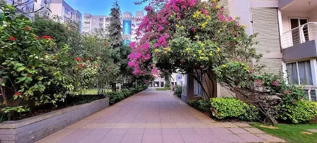 Single Occupancy for Male in 3 BHK Flat for Rent in Kadugodi