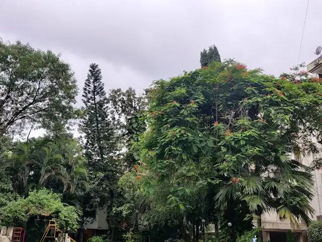 3 BHK Villa for Rent in Mumbai