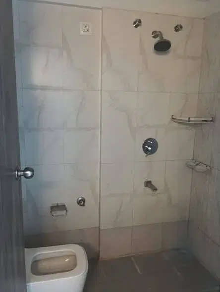 1 BHK Flat for Rent in Mundhwa