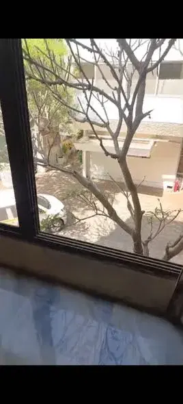 1 BHK Flat for Rent in Koregaon Park