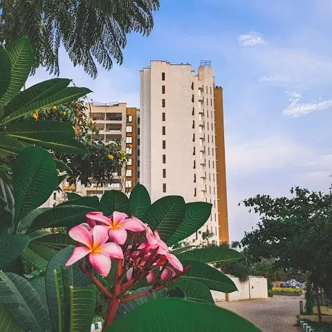 3 BHK Flat for Rent in Electronic City