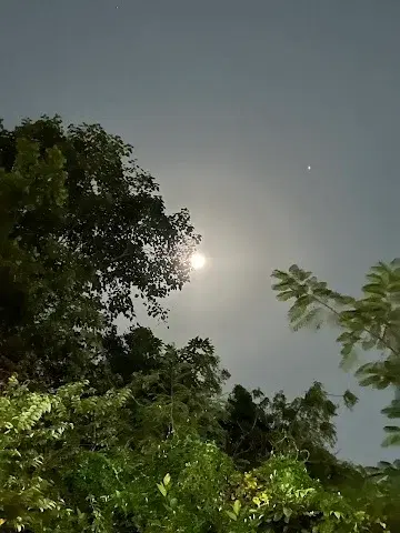 1 BHK Flat for Rent in Raheja Vihar