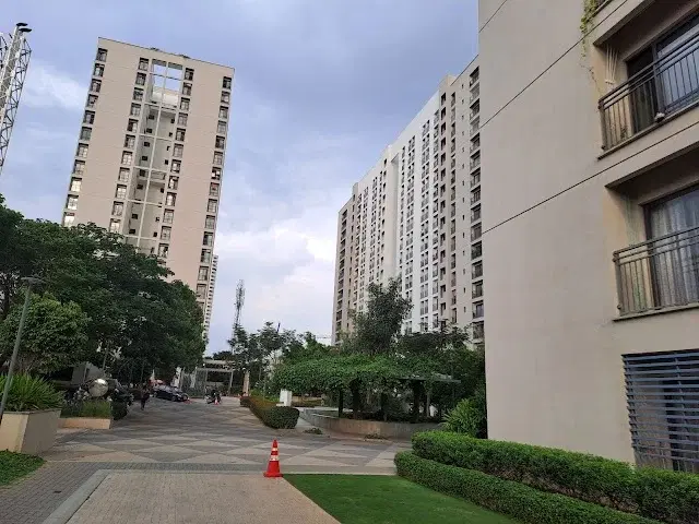 2 BHK Flat for Rent in JP nagar