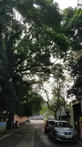 2 BHK Flat for Sale in Kalyani Nagar