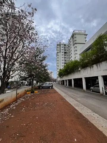 3 BHK Flat for Rent in Mysore Road