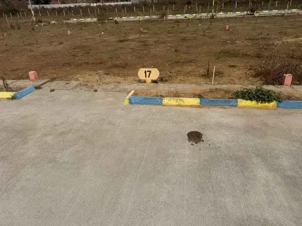 Residential Plot for Rent Near Big Banyan Tree