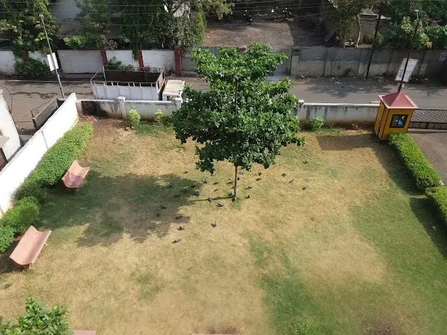 3 BHK Flat for Rent in Wadgaonsheri