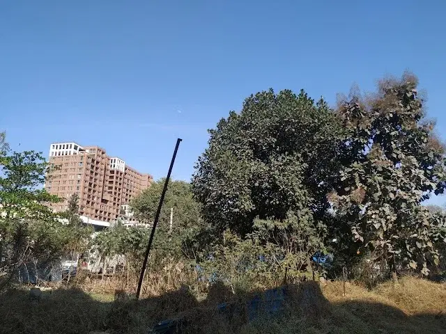 4 BHK Flat for Sale in Bangalore