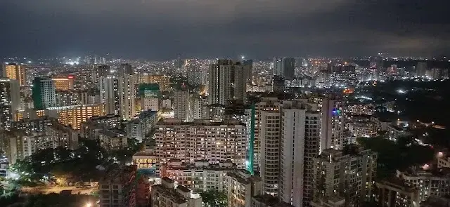 1 BHK Flat for Sale in JP North