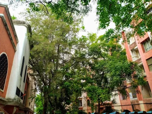 2 BHK Flat for Rent in Viman Nagar