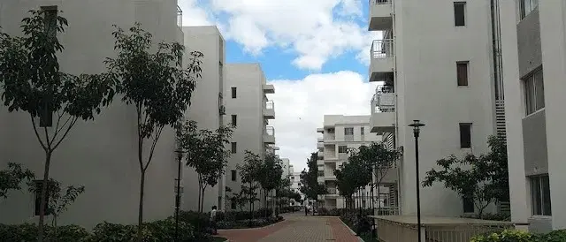 1 BHK Flat for Rent in Doddathoguru