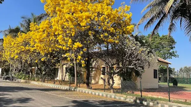 Residential Plot for Rent in Kothanur