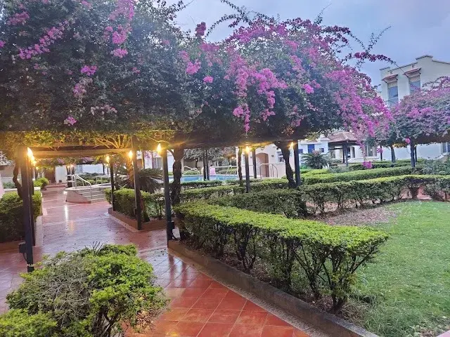 4 BHK Flat for Rent in Whitefield