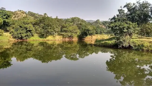 2 BHK Flat for Rent in Anandnagar