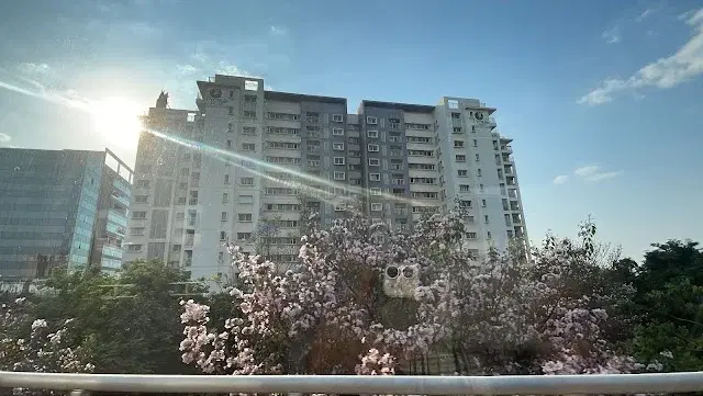 2 BHK Flat for Rent in Whitefield ( Kadugodi )