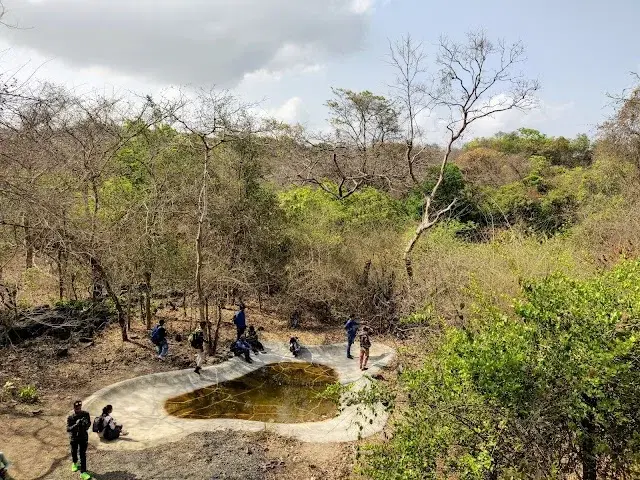 1 BHK Flat for Rent in National Park