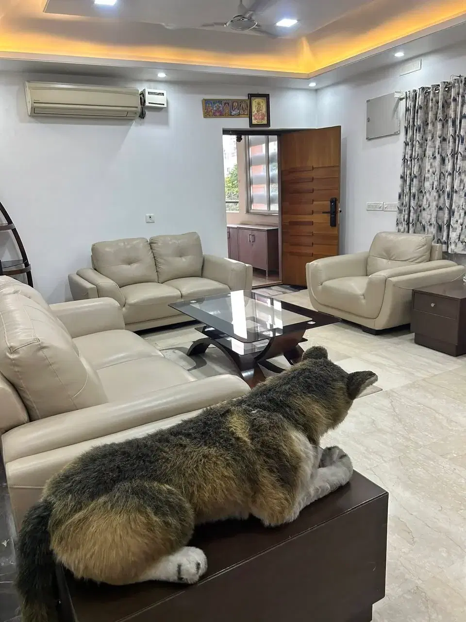 3 BHK Flat for Rent in Madhapur