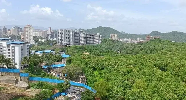 1 BHK Flat for Sale Near Dahisar Check Naka