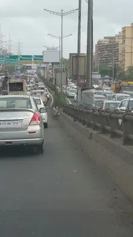 1 BHK Flat for Rent in Samata Nagar