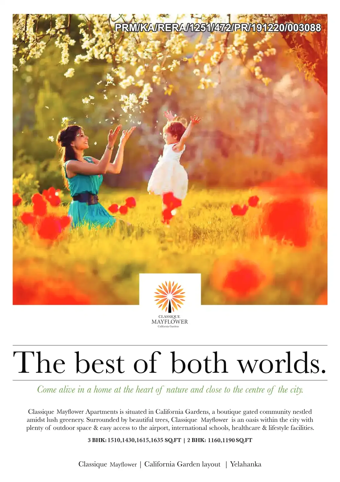 Classique Temple Tree