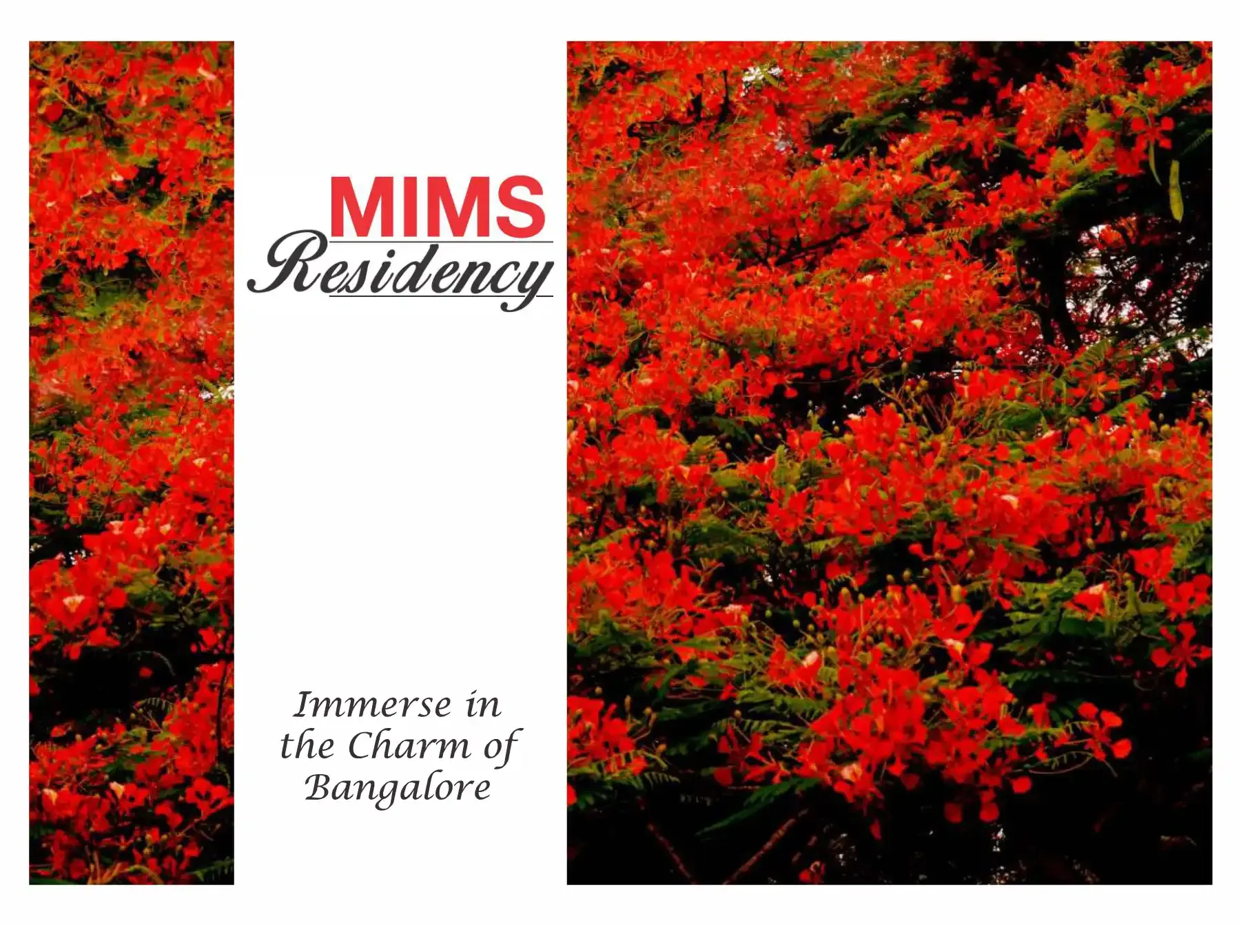 Mims Residency