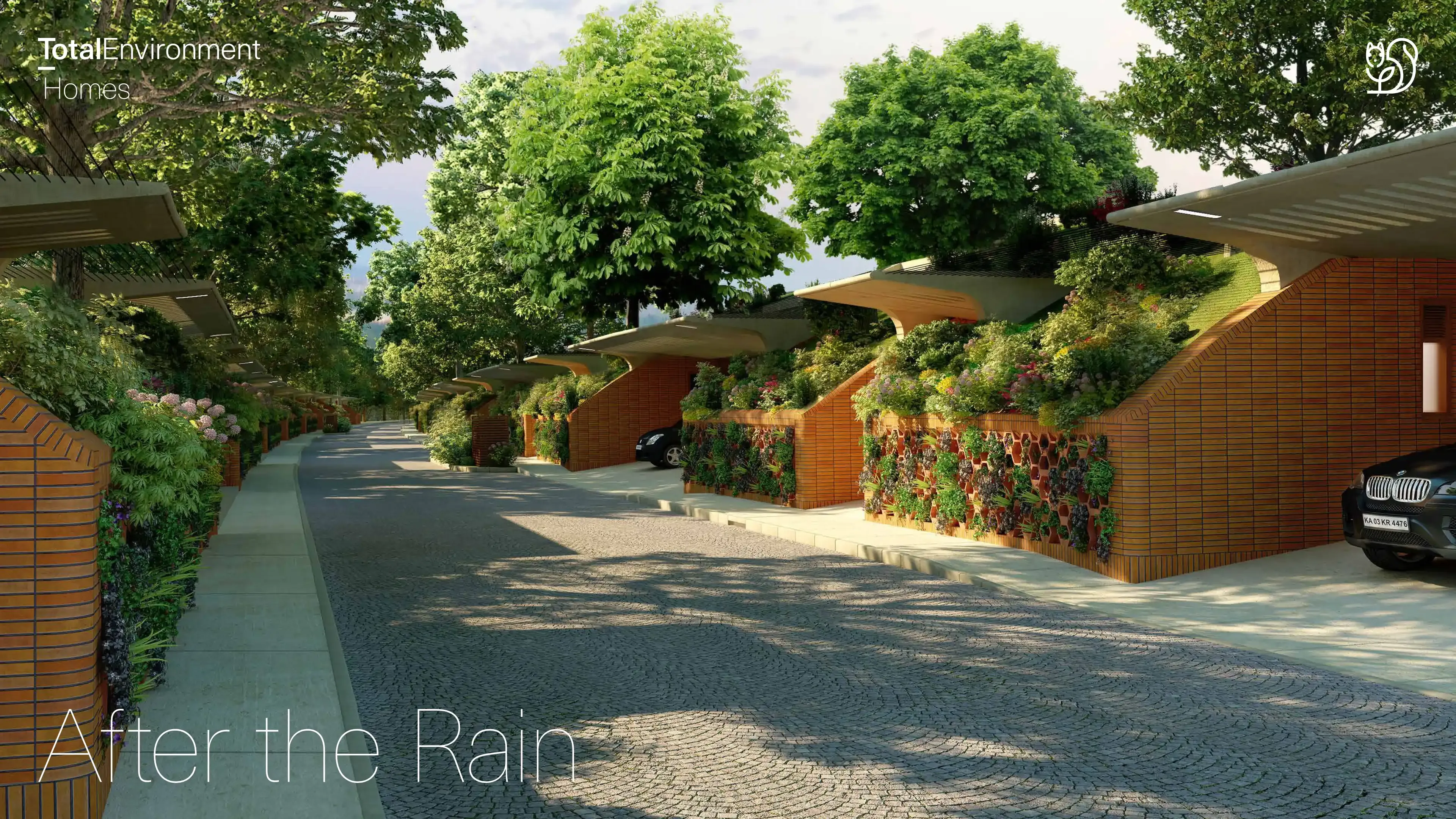 After The Rain Phase II A