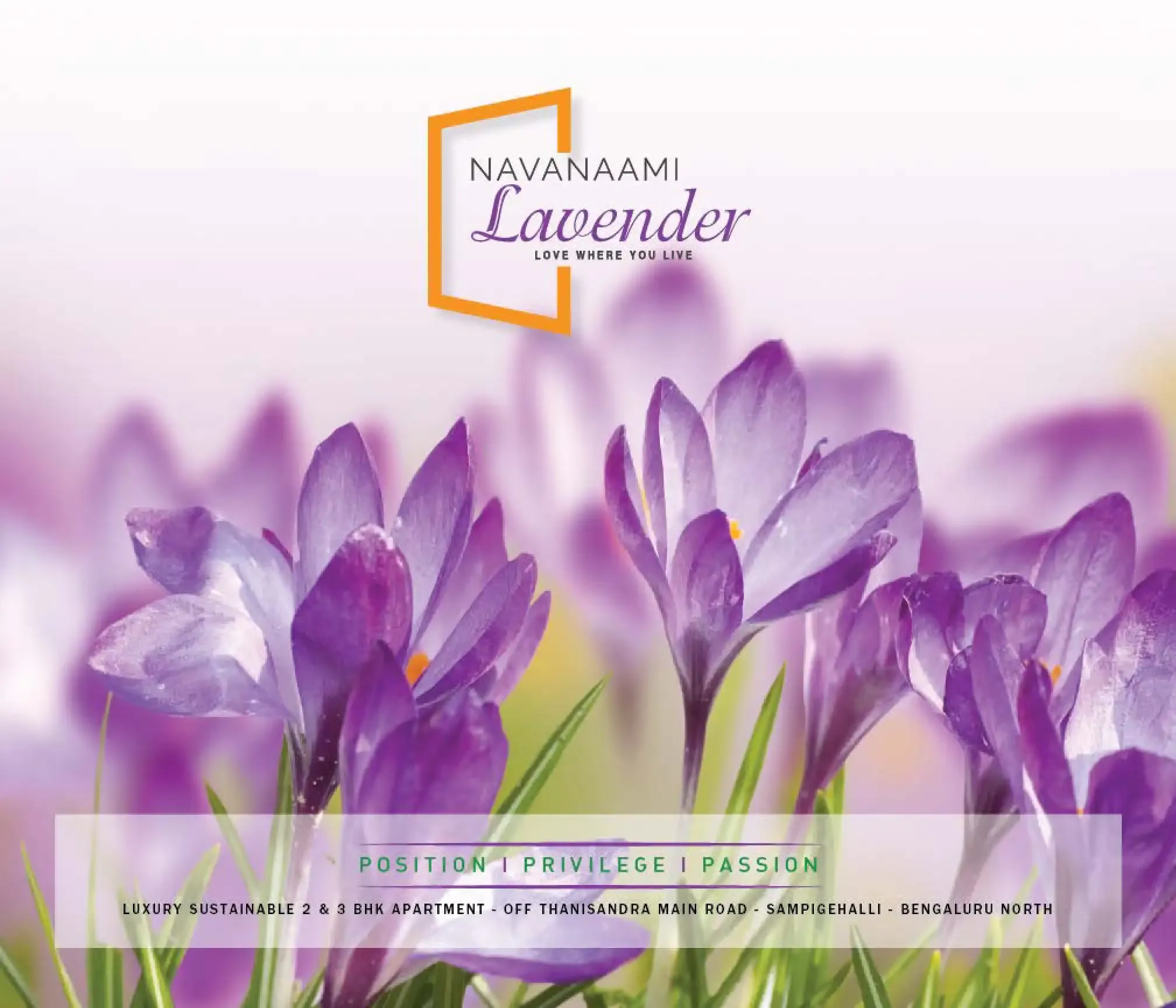 Navanaami Lavender