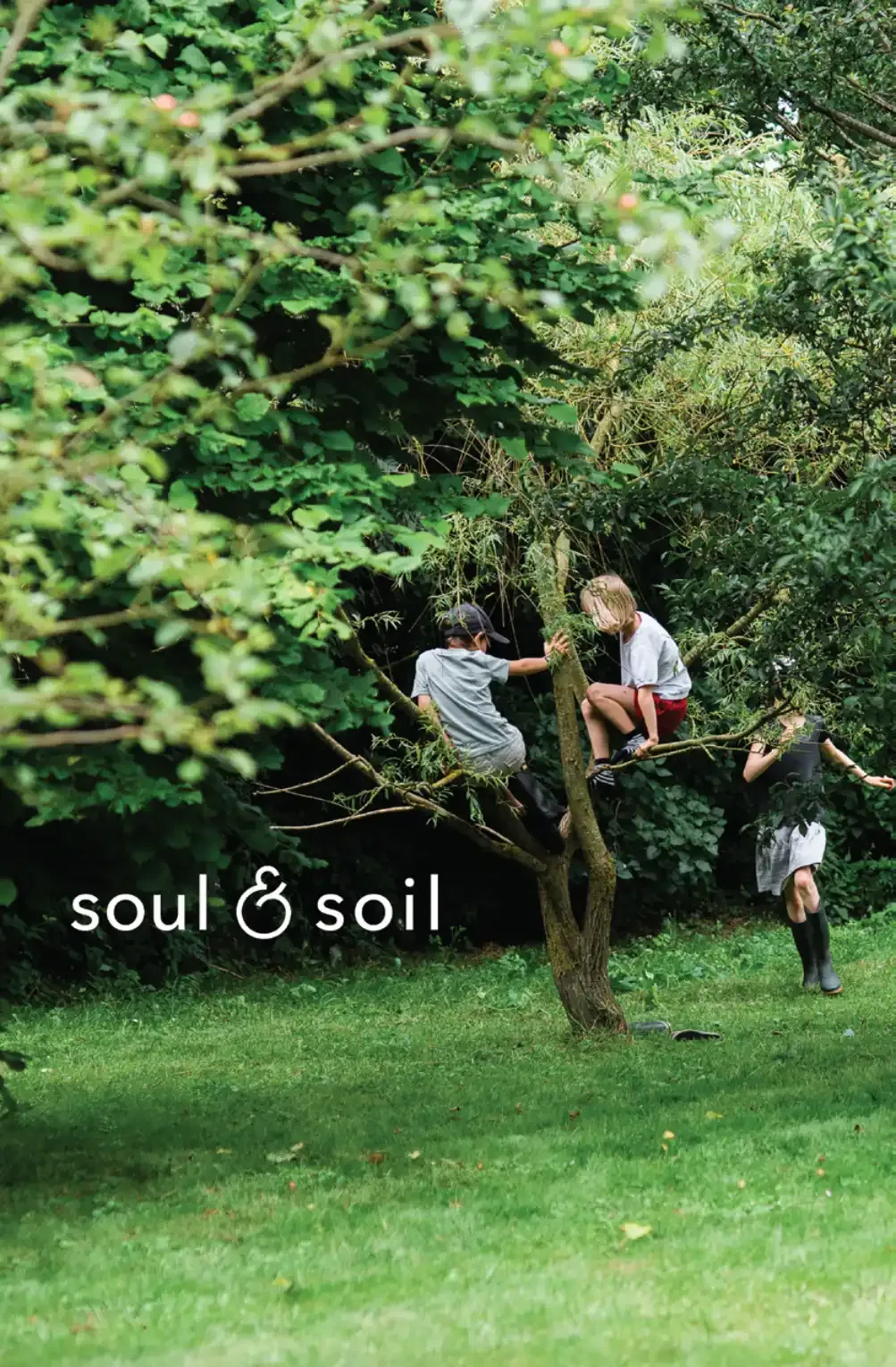 Soul Soil Phase 2a