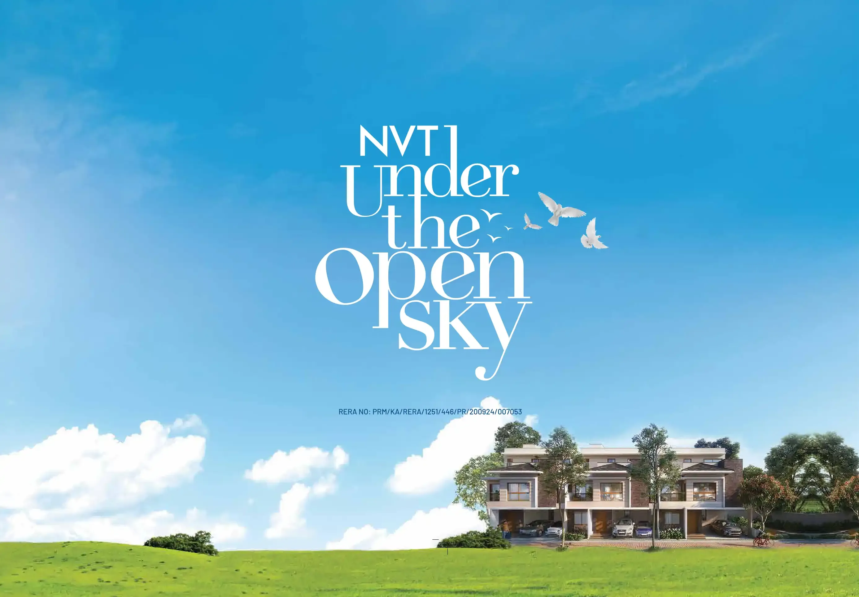 Nvt Under The Open Sky