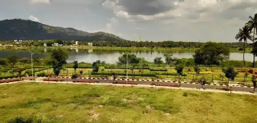 Venkatagiri Layout