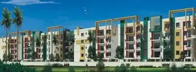 Vijayasri Golden Orchids