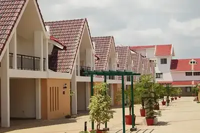 Vaswani Ashton Woods