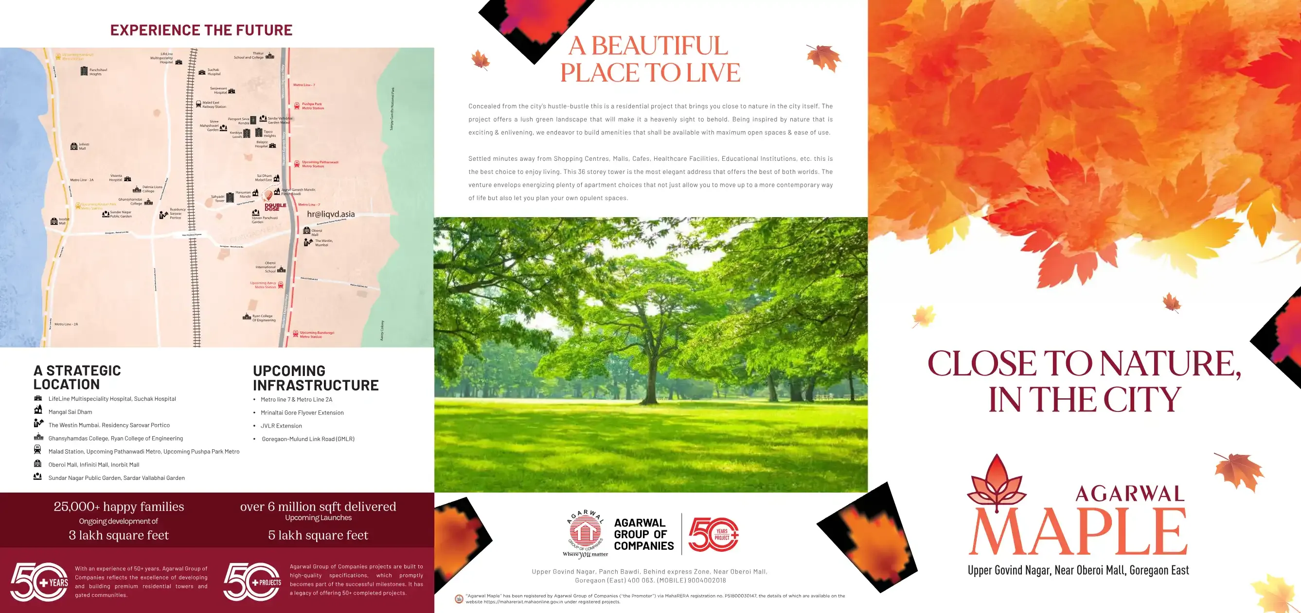 Agarwal Floresta - Maple