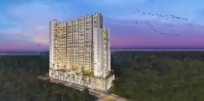 Neelam Supremo Salvia