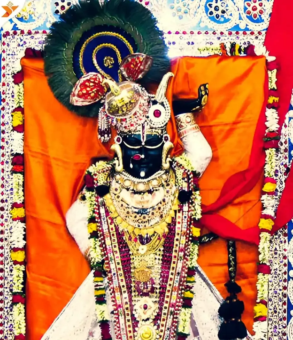 Shree Shrinath Darshan