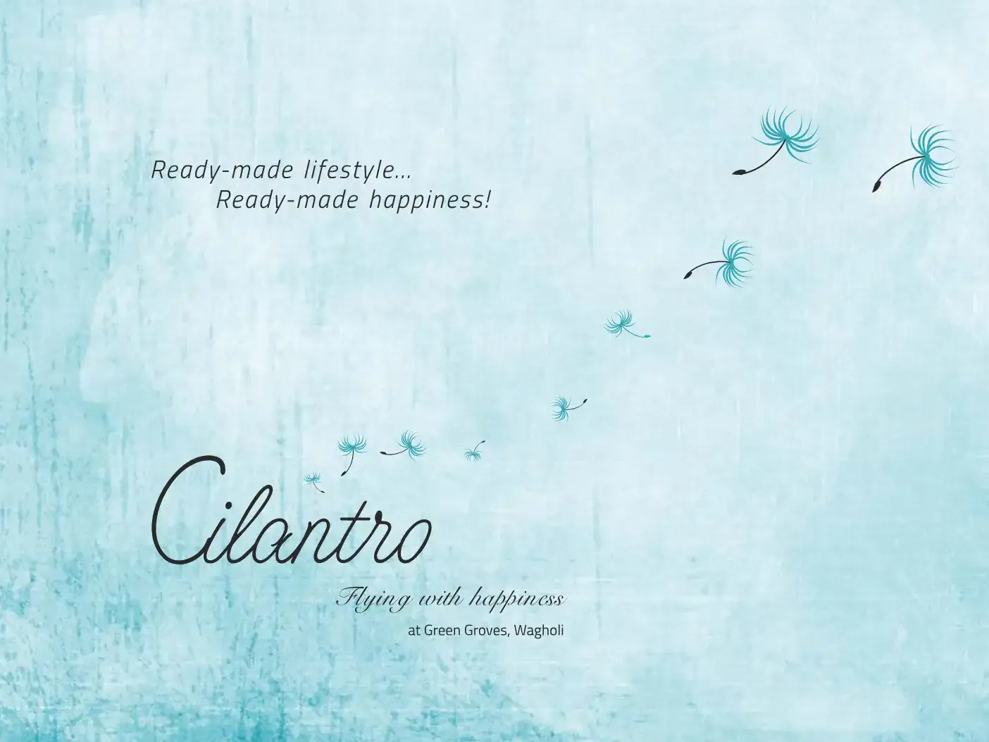 Green Groves - Cilantro