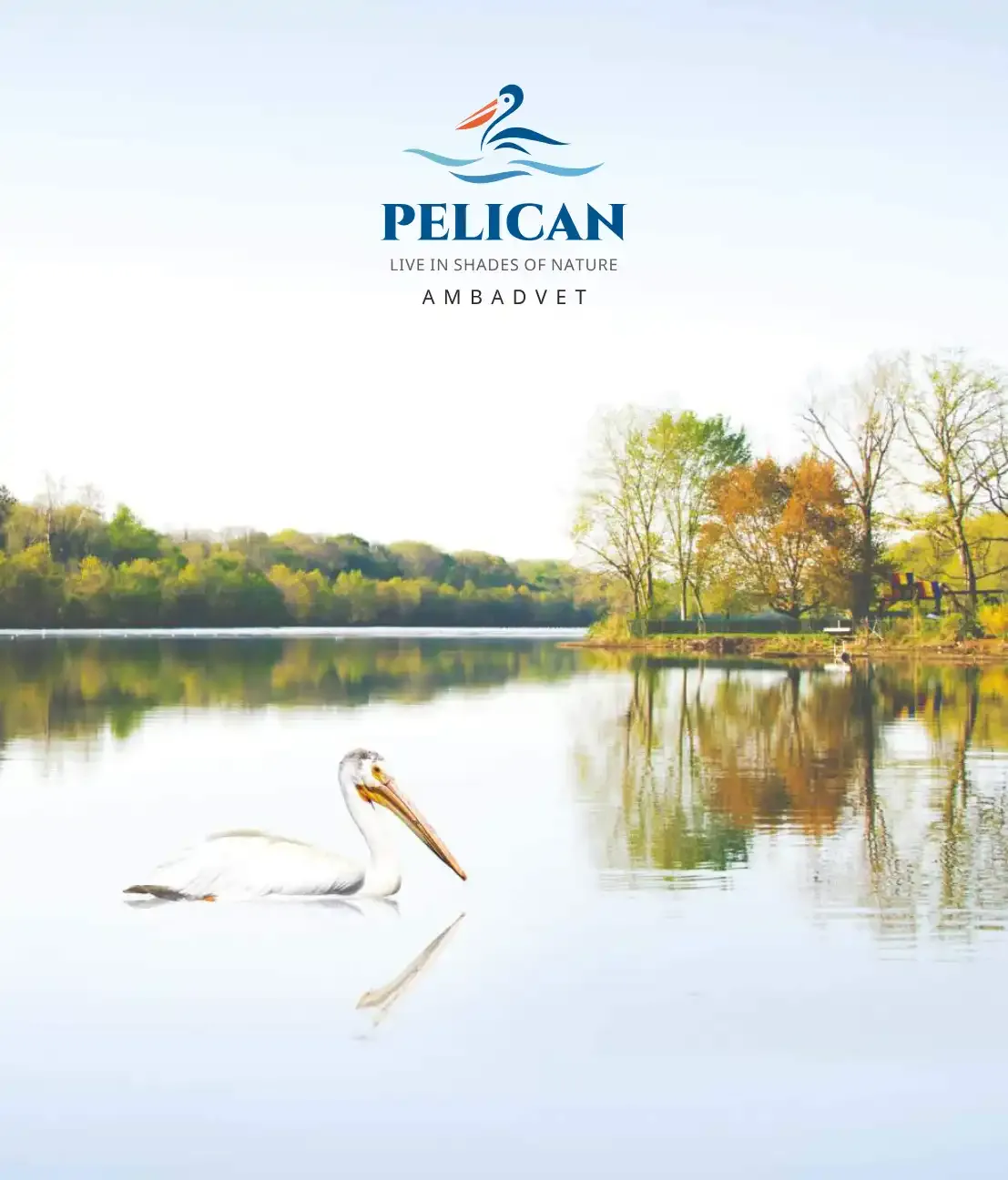 Pelican