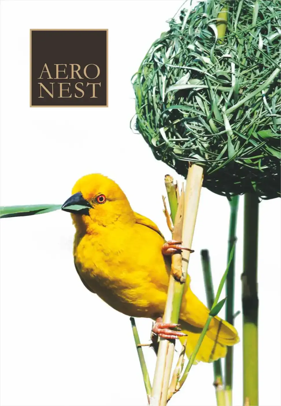 Aero Nest