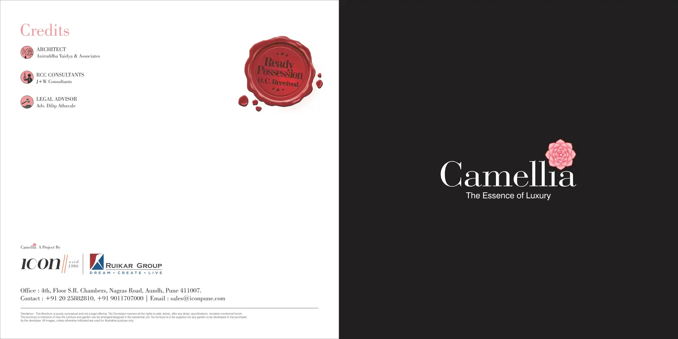 The Camelia