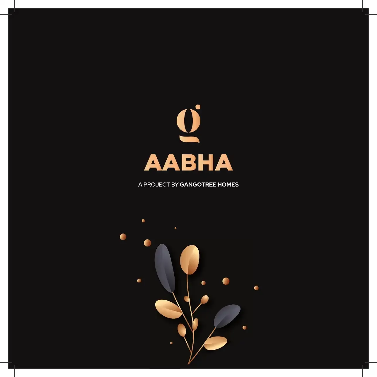 Aabha