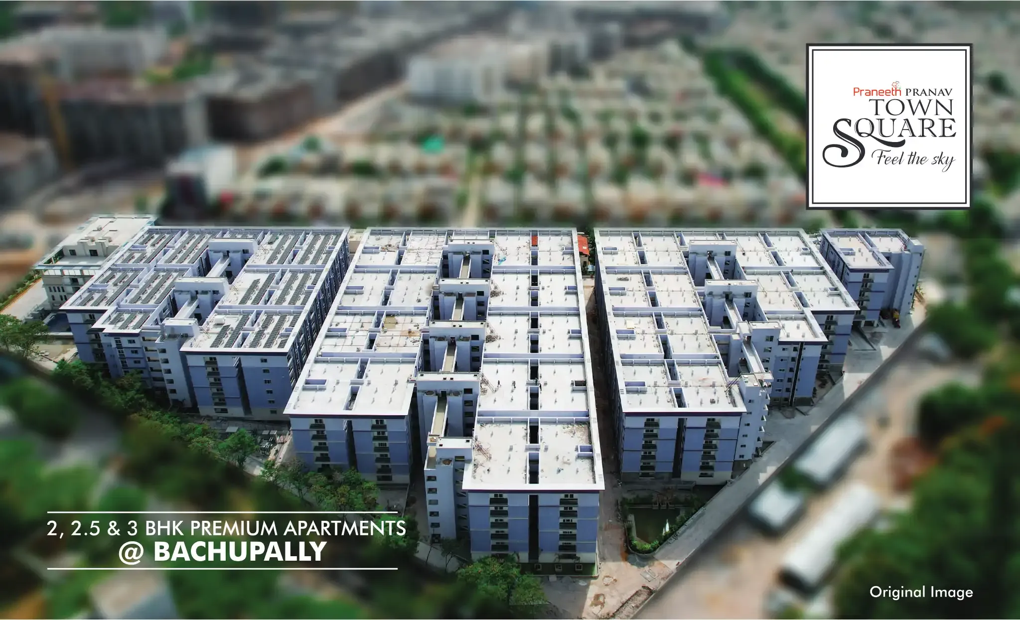 Praneeth Pranav Blooms