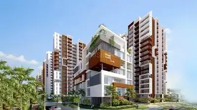 Mahitha S Green Bamboos