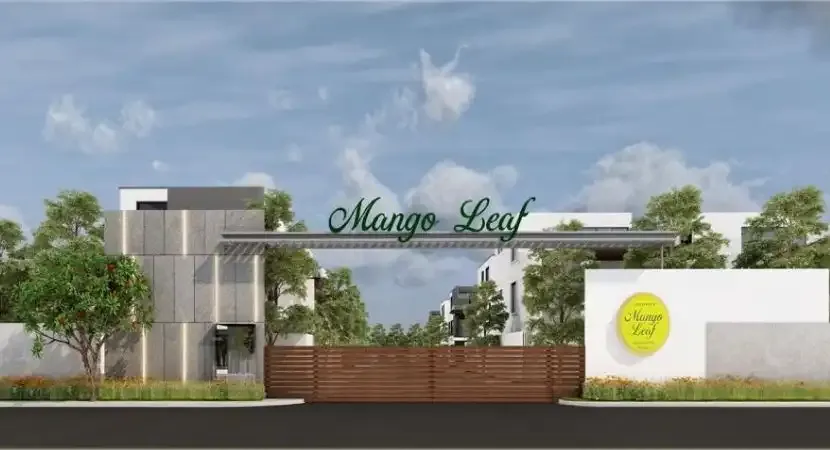Mango Leaf Ext