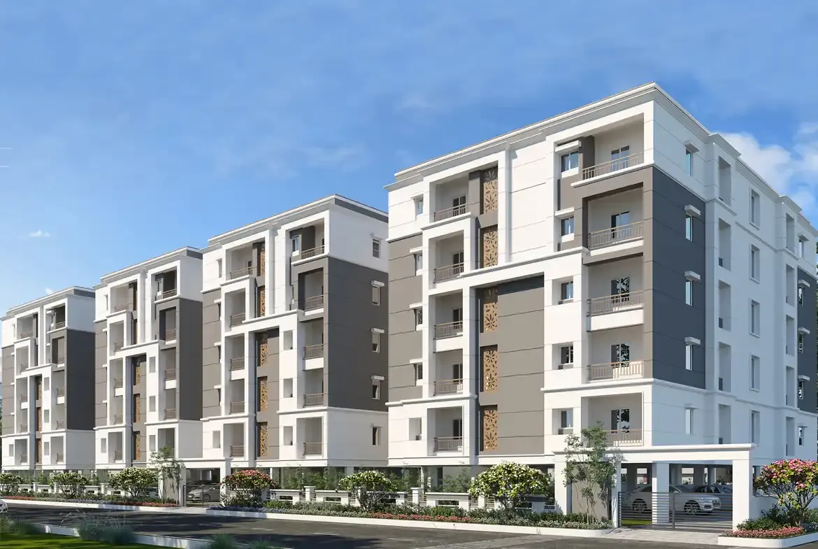 Greater Infras Carnation