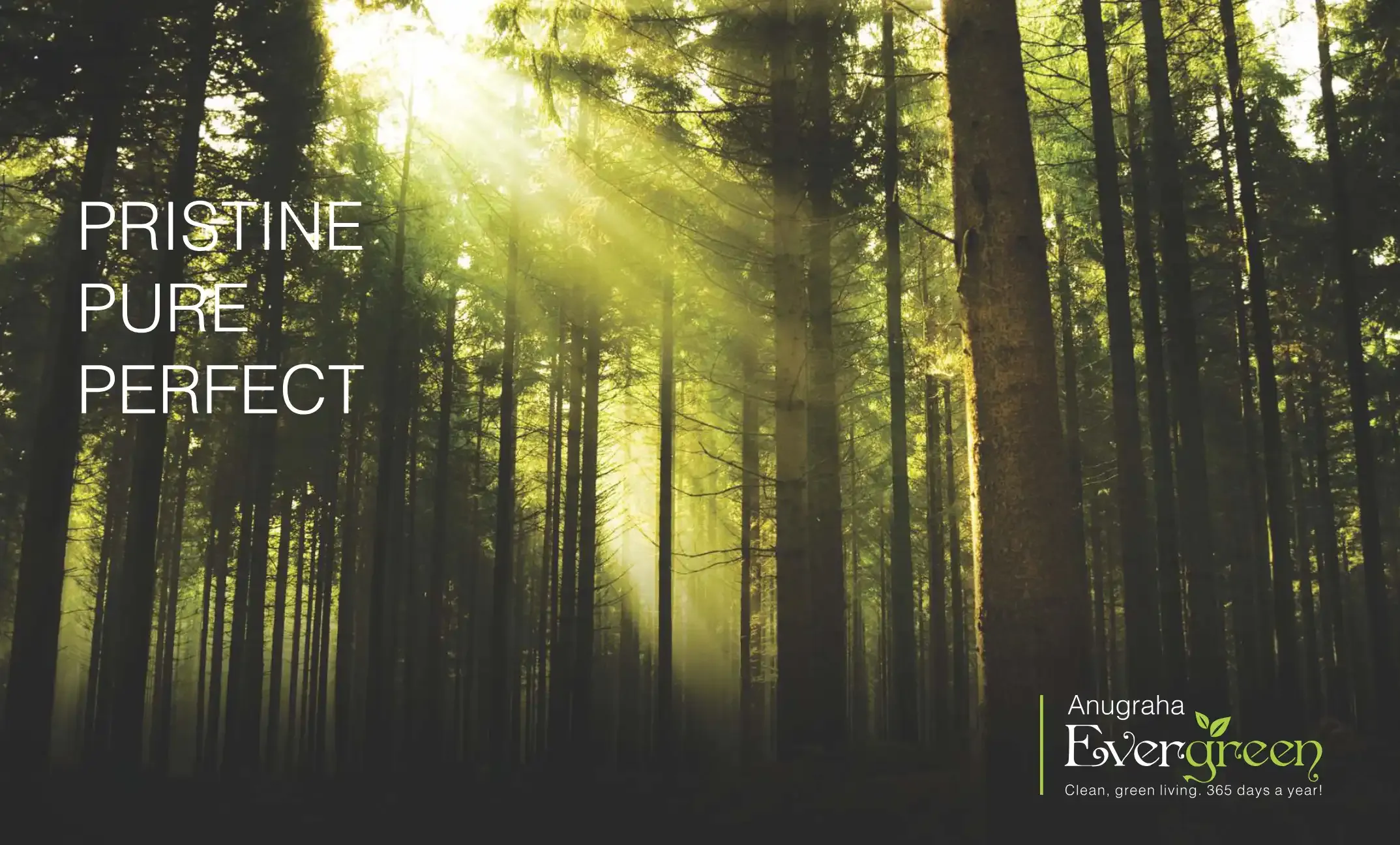 Anugraha Evergreen Layout